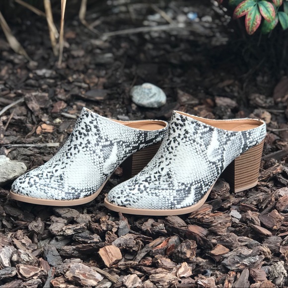 😍restock Snake skin mule - Picture 6 of 8